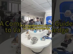 Pourquoi les clients préfèrent-ils les vannes de Fabia?