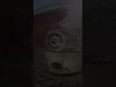 50 mm 400 mm 300 mm soupape de papillon de ventilation à flèche en acier au carbone